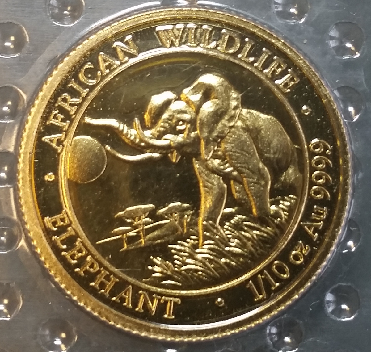 爆売り！】 アンティークコイン コイン 金貨 銀貨 送料無料 Somalia 100 SH. 2021-Elephant-African  Wildlife Plant Coin 10 OZ GOLD ST-